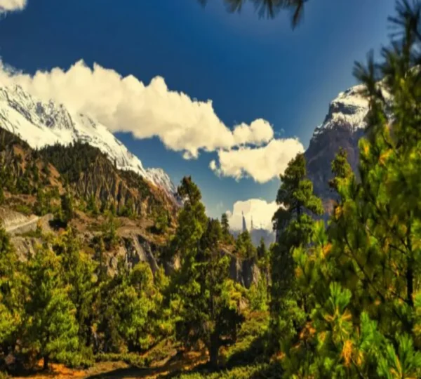 Lush green landscapes along the Annapurna Base Camp trekking route