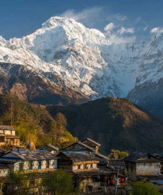 Easy Trek to Ghandruk